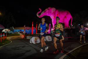 BIB: 
                            <button type="button" onclick="openModal(26552082)" class="btn btn-primary btn-sm float-right btn-popup" data-toggle="modal" data-target=".modal-high-quality">
                        <i class="fas fa-shopping-cart"></i> Add to Cart
                    </button>
                                            <button type="button" onclick="isThisMe(26552082, true)" class="btn btn-success btn-sm float-right btn-popup btn-isme hidden" data-toggle="tooltip" data-placement="bottom" title="นี่คือรูปของคุณใช่ไหม คลิกที่นี่เพื่อเอาเข้าอัลบั้ม">
                        <i class="fas fa-plus"></i> Add to album
                    </button>
                    <button type="button" onclick="isThisMe(26552082, false)" class="btn btn-warning btn-sm float-right btn-popup btn-isnotme hidden">
                        <i class="fas fa-ban"></i> Remove from album
                    </button>